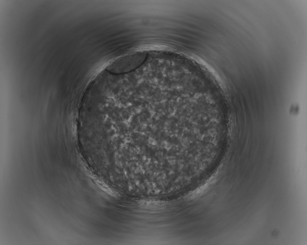 X0000093750921200711061044