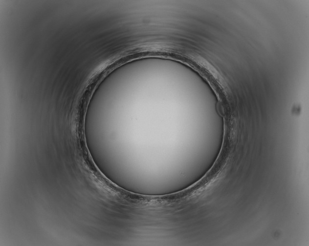 X0000093750922200711061044