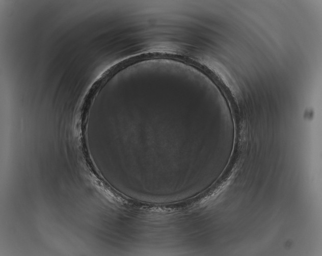 X0000093750923200711061044