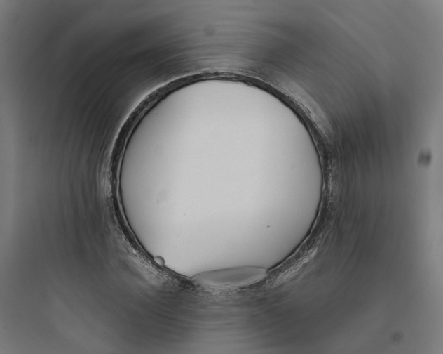 X0000093750924200711061044