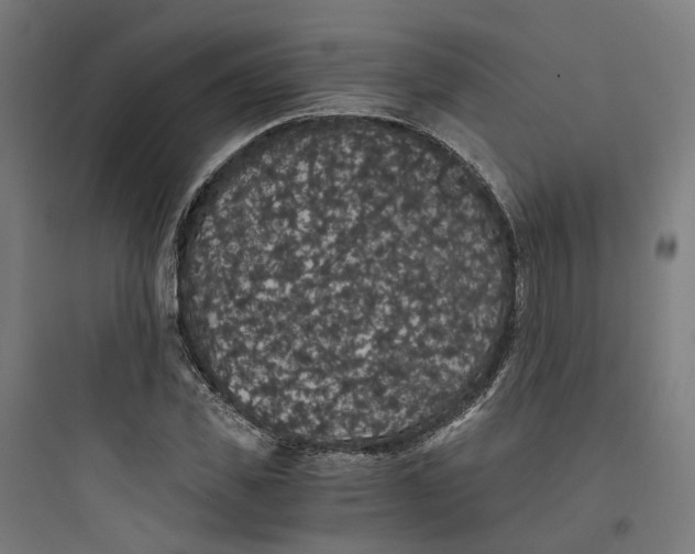 X0000093750925200711061044