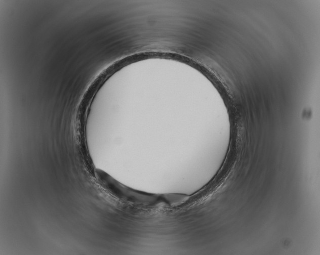X0000093750926200711061044
