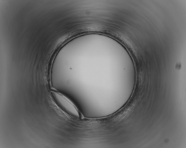 X0000093750930200711061045