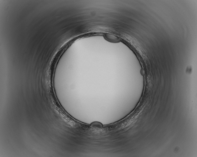 X0000093750931200711061045