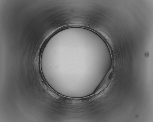 X0000093750933200711061045