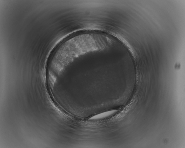X0000093750935200711061045