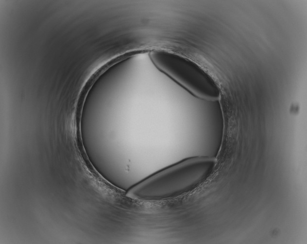 X0000093750936200711061045