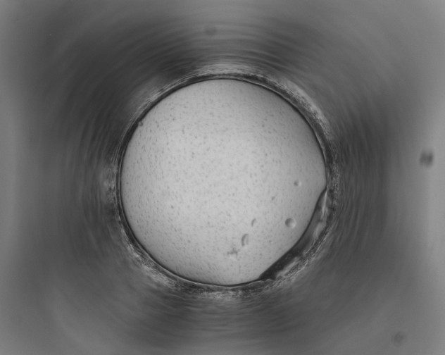 X0000093750937200711061045