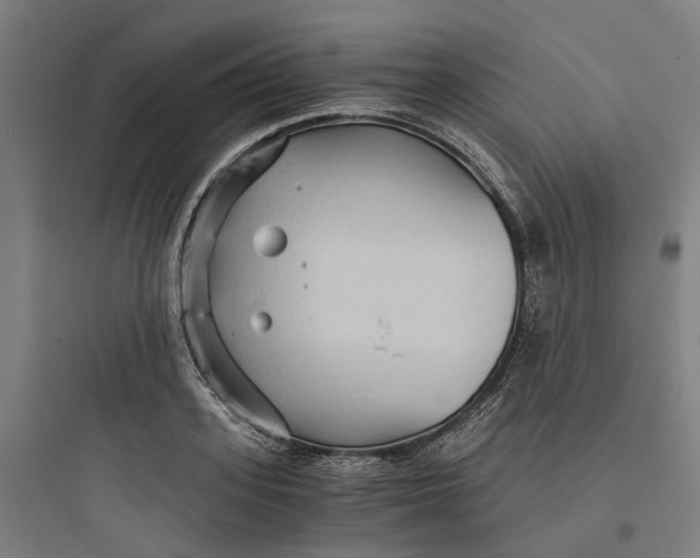 X0000093750939200711061045