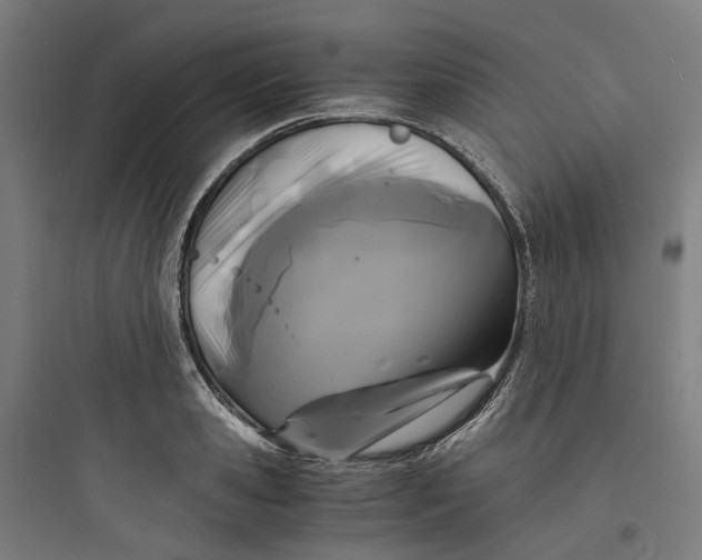 X0000093750941200711061045