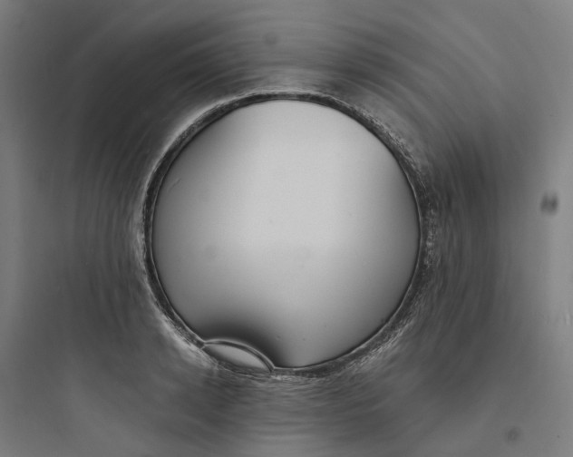 X0000093750942200711061045