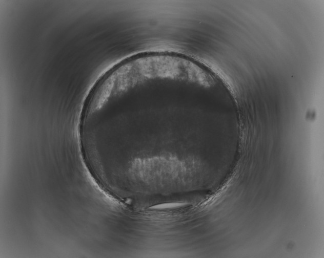 X0000093750943200711061045