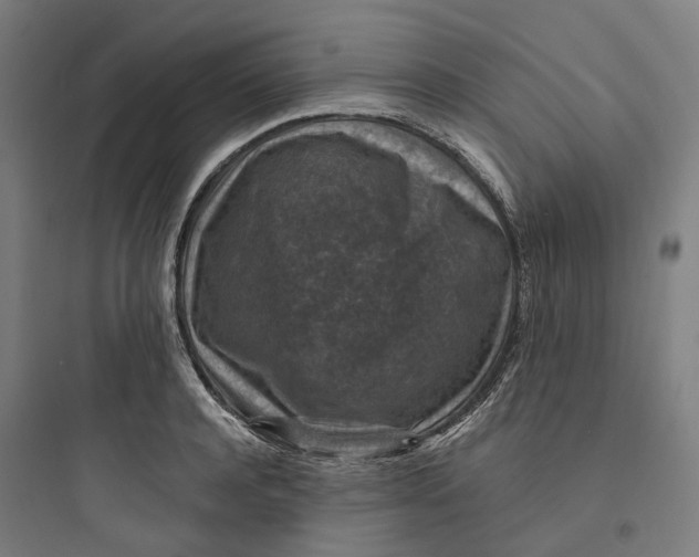 X0000093750944200711061045