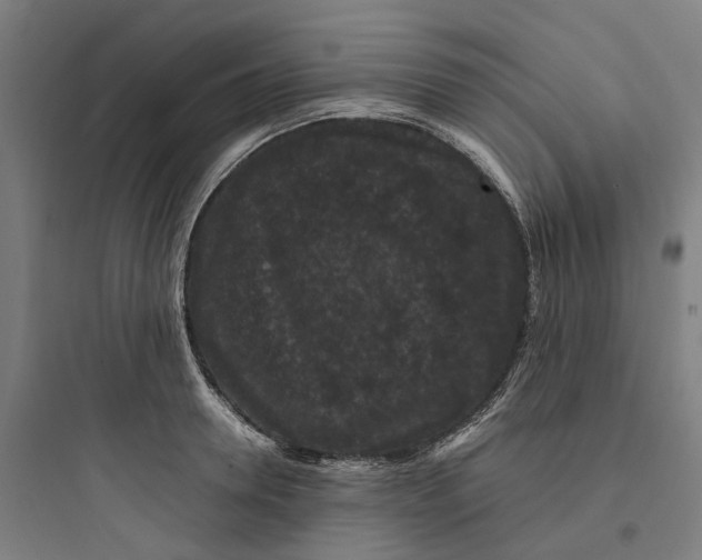 X0000093750946200711061045