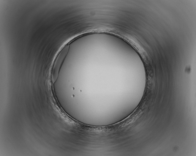 X0000093750948200711061045