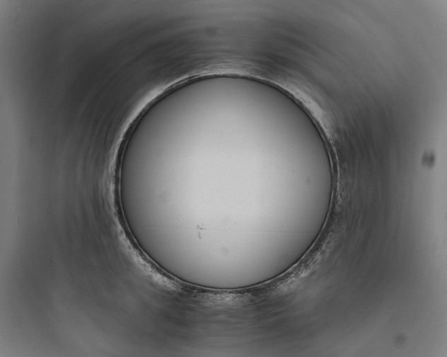 X0000093750949200711061045
