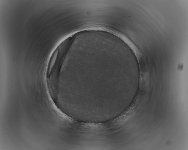 X0000093750951200711061045