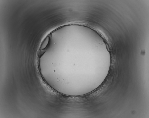 X0000093750952200711061045
