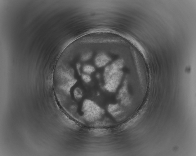 X0000093750953200711061045