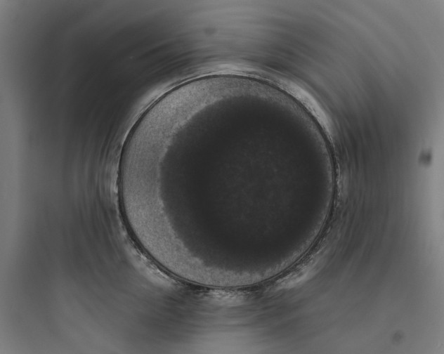 X0000093750954200711061045