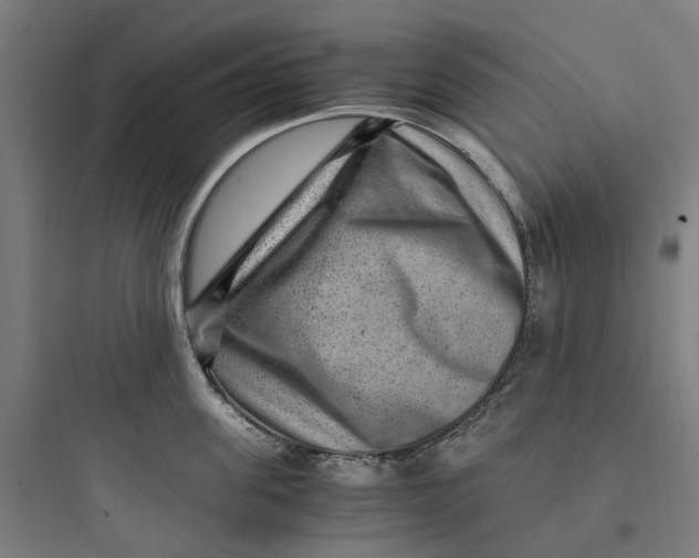 X0000093750955200711061045