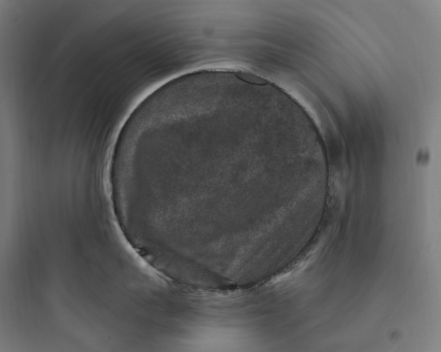 X0000093750959200711061045