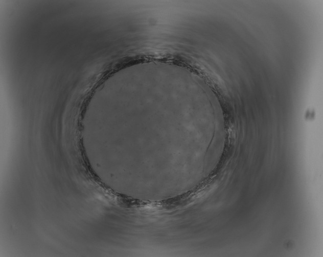 X0000093750961200711061044