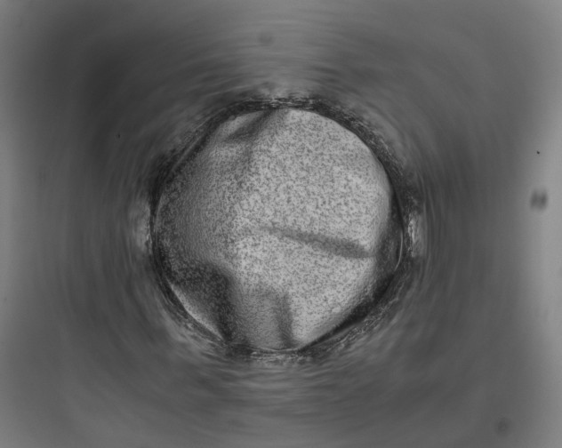 X0000093750963200711061044