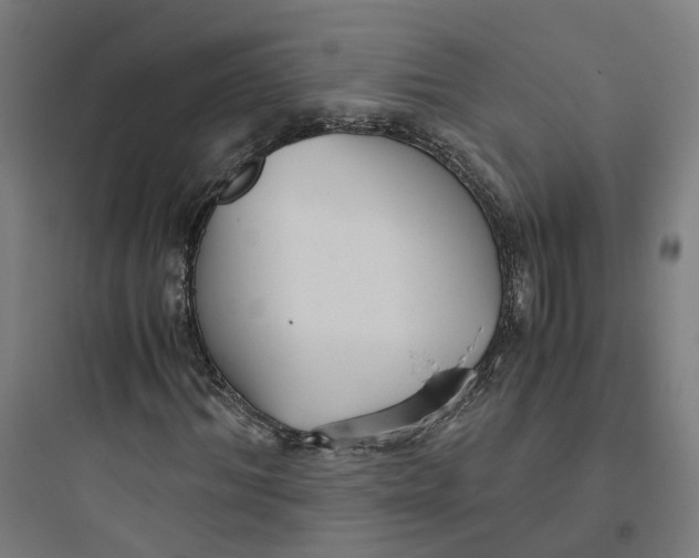 X0000093750964200711061044