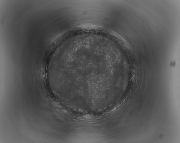 X0000093750966200711061044