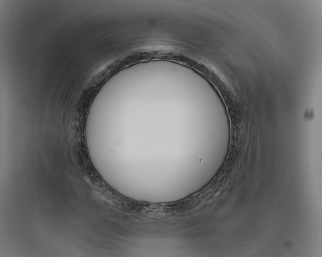 X0000093750967200711061044