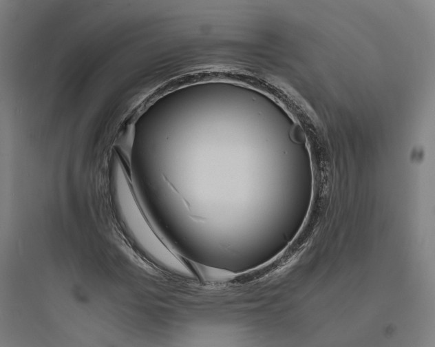 X0000093750969200711061044