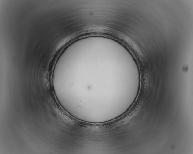 X0000093750970200711061044