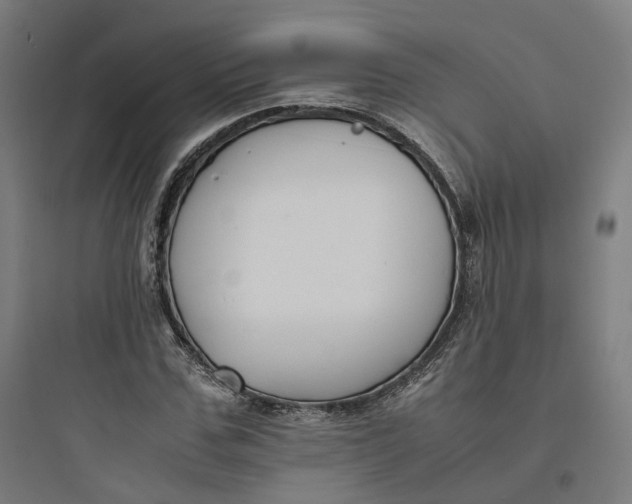 X0000093750971200711061044
