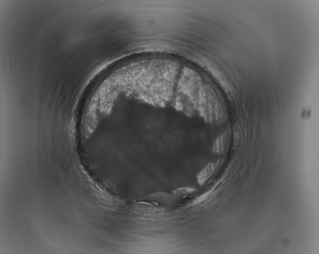 X0000093750975200711061044