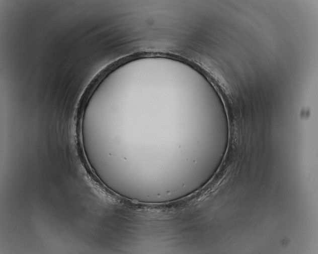 X0000093750976200711061044