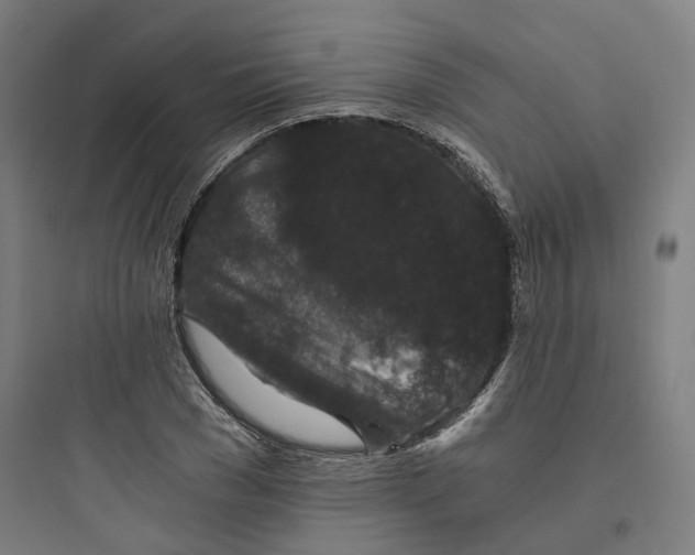 X0000093750977200711061044