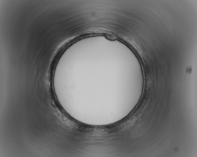 X0000093750979200711061044