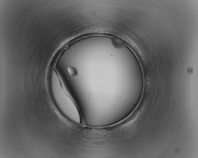 X0000093750981200711061044