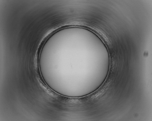 X0000093750982200711061044