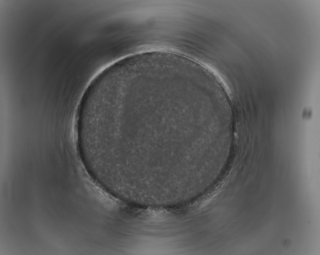 X0000093750983200711061044