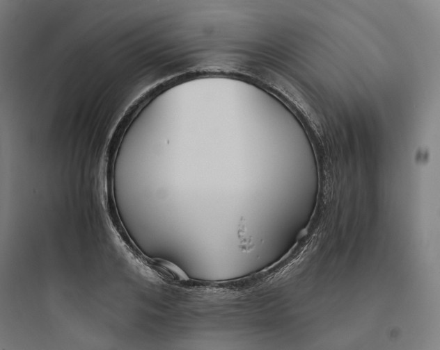 X0000093750984200711061044