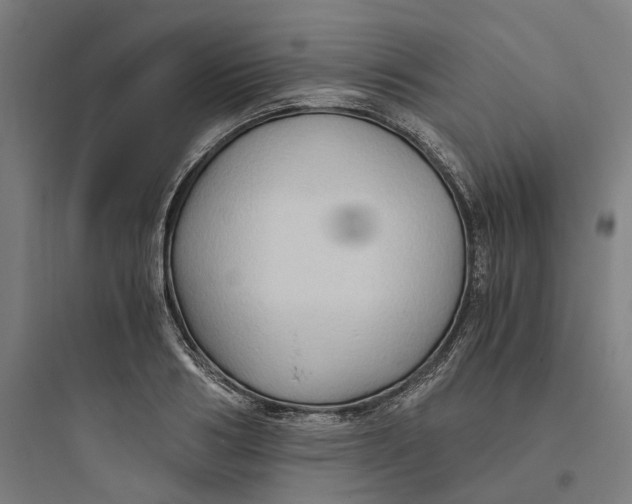 X0000093750986200711061044