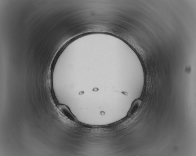 X0000093750988200711061044