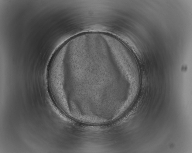 X0000093750990200711061044