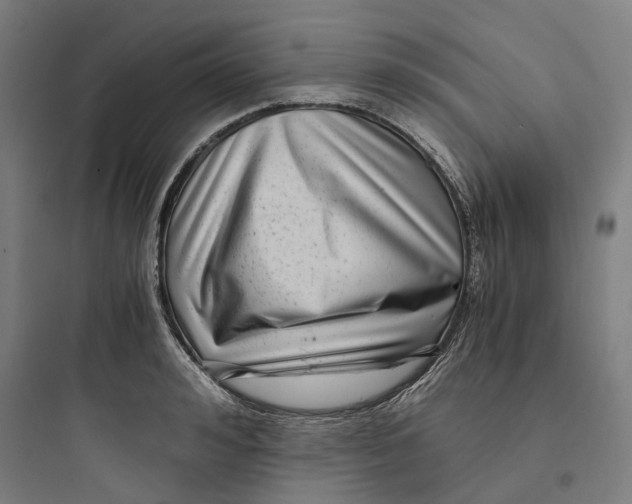 X0000093750992200711061044