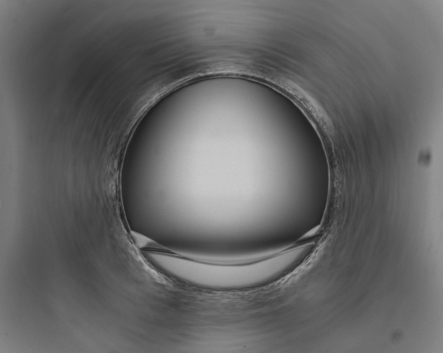 X0000093750993200711061044