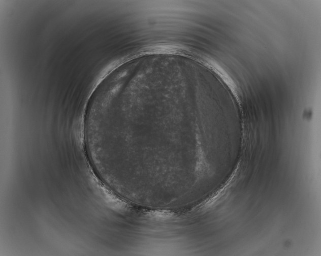 X0000093750994200711061044