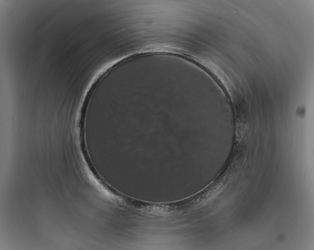 X0000093750995200711061044