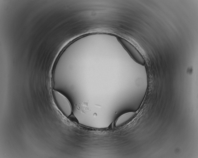 X0000093750996200711061044